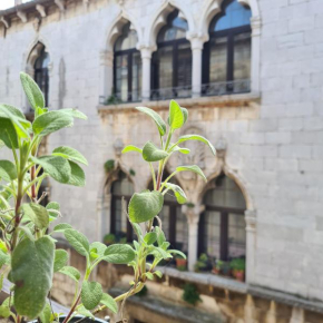 Old Town Decumanus